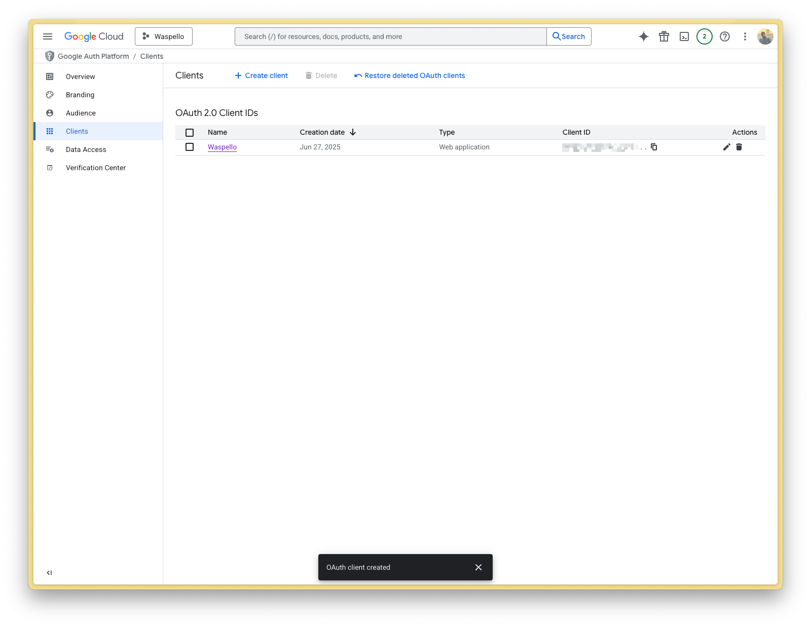 Google Console Screenshot 10
